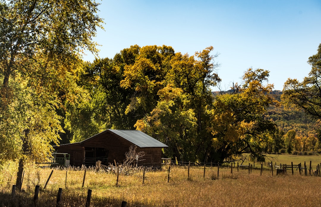 Photo Ranch fence